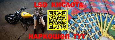 прущие крисы Кингисепп
