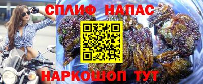 ПСИЛОЦИБИНОВЫЕ ГРИБЫ Кимры