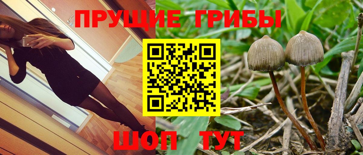 КОКАИН Котлас