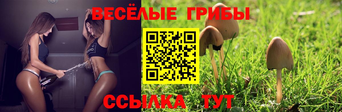 Псилоцибиновые грибы Psilocybine cubensis  Вход с VPN  Галлюциногенные грибы ЛСД  Котлас 